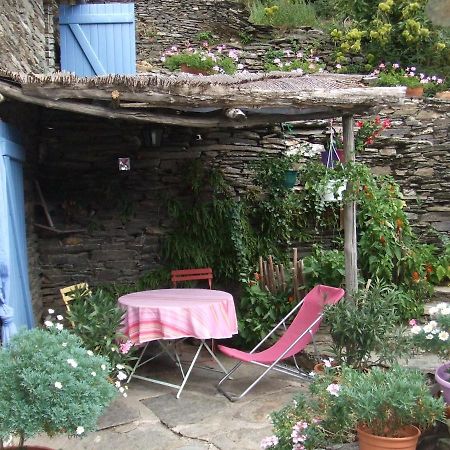 Lou Cabanis Villa Saint-Germain-de-Calberte Ngoại thất bức ảnh
